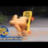 Радиоуправляемый медведь на скейтбордe Magic Bear - 6012-1