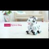 Радиоуправляемая интерактивная собака Wow!Dog - K10